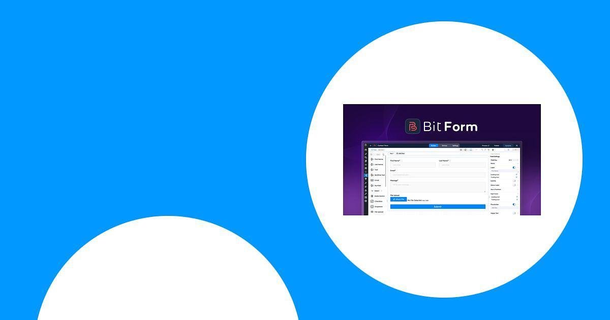 Bit Form Review